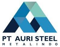 AURI STEEL